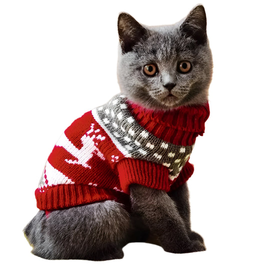 Cute Cat Sweater Costume