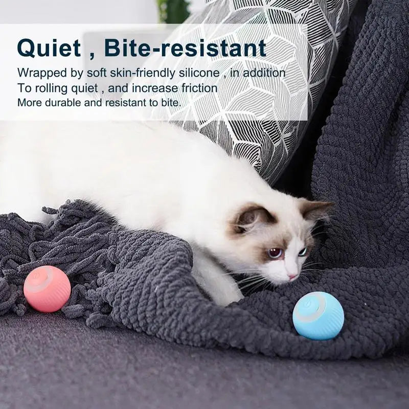 Smart Cat Rolling Ball Toy