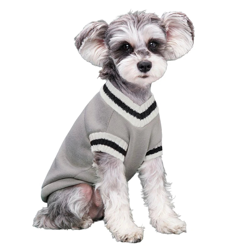 College Style Pet Dog Sweater