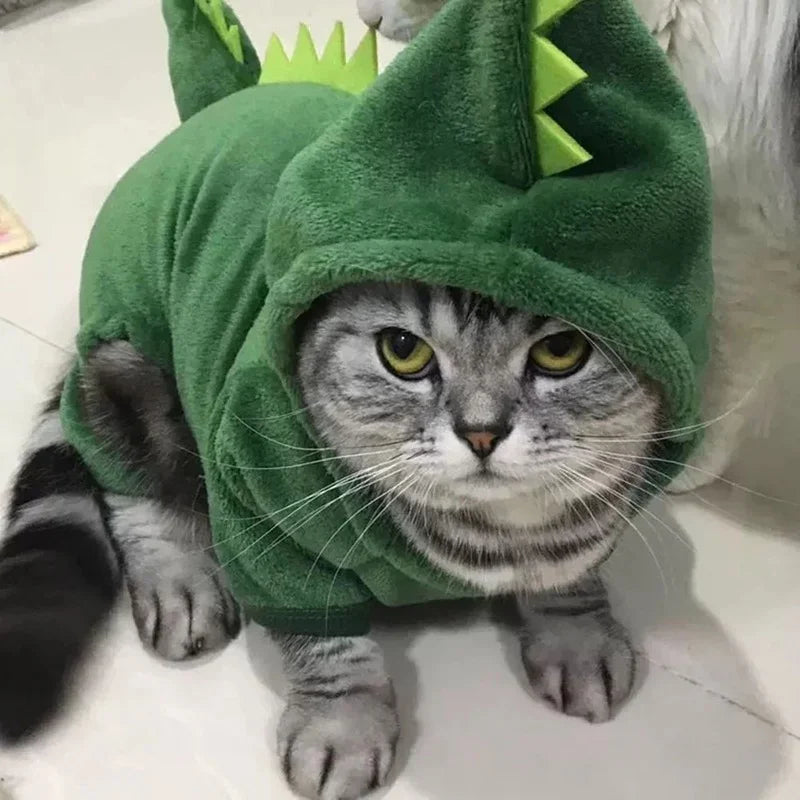 Pet Funny Dinosaur Cosplay Costume