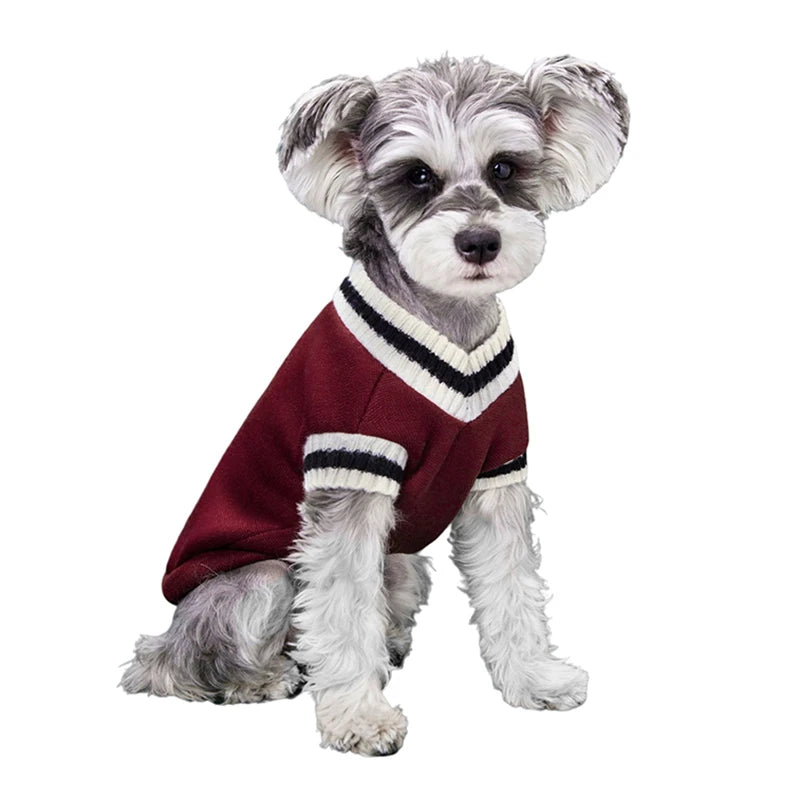 College Style Pet Dog Sweater