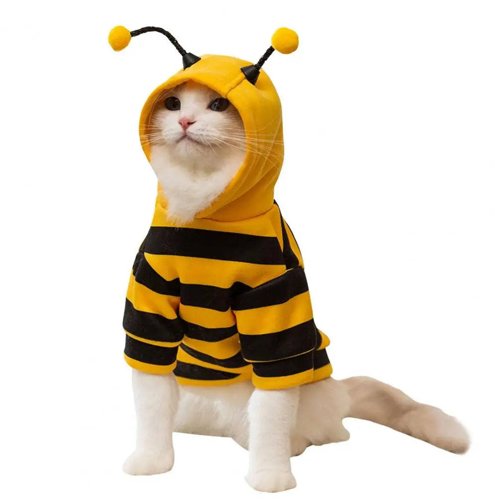 Bee Pet Coat Outfit