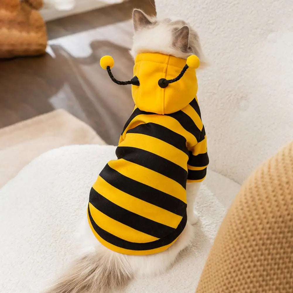 Bee Pet Coat Outfit