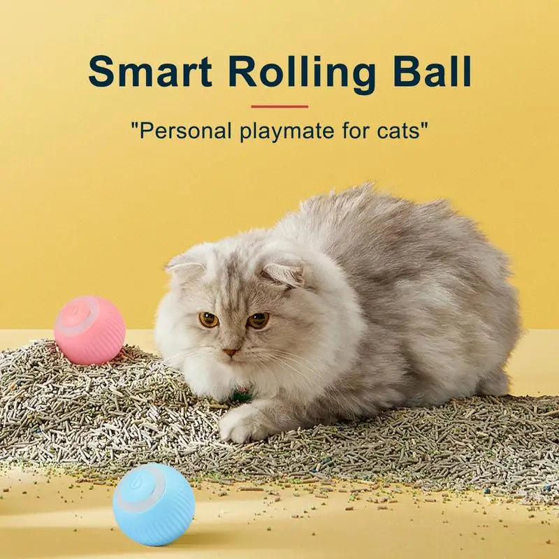 Smart Cat Rolling Ball Toy