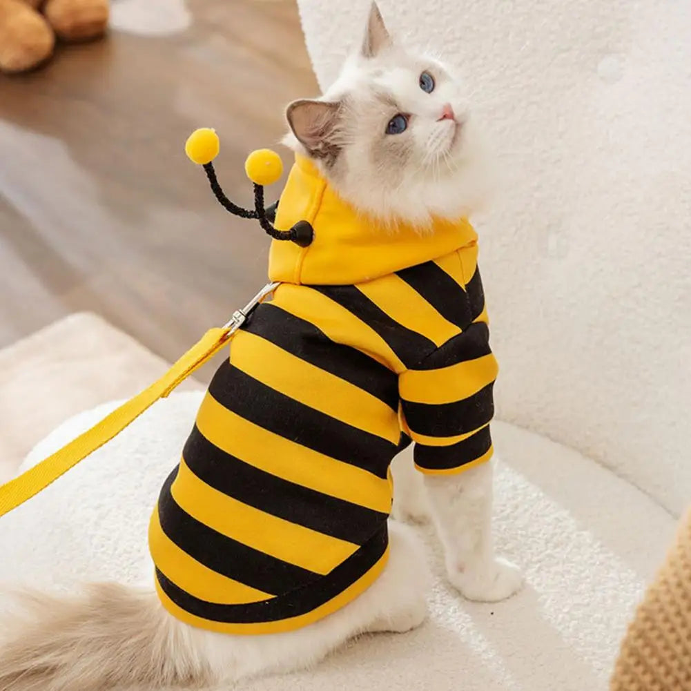 Bee Pet Coat Outfit