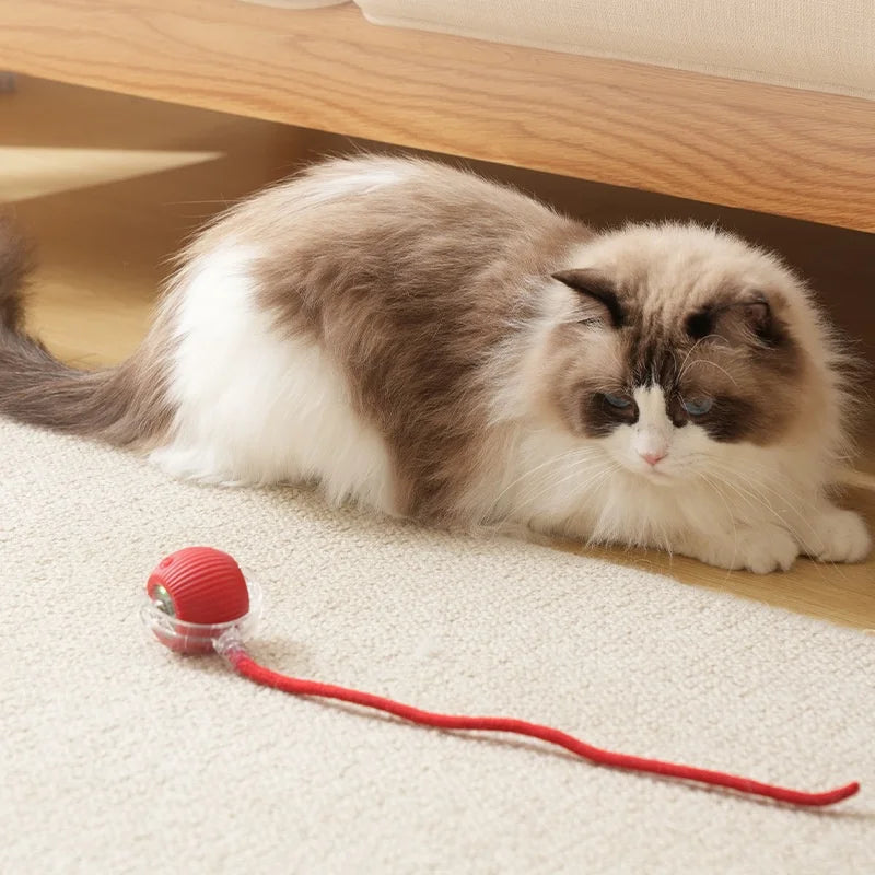 Automatic Rolling Ball Toy