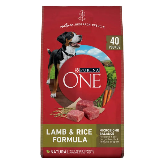 Dog Feeding Dry Dog Food