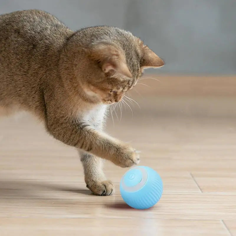 Smart Cat Rolling Ball Toy