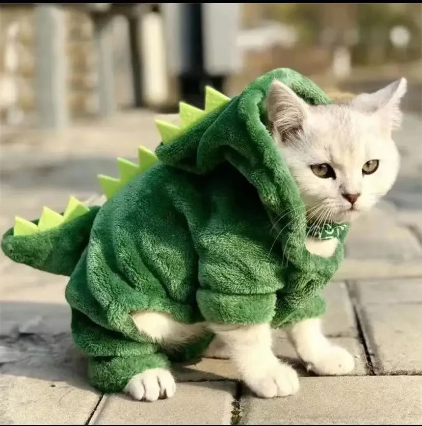 Pet Funny Dinosaur Cosplay Costume