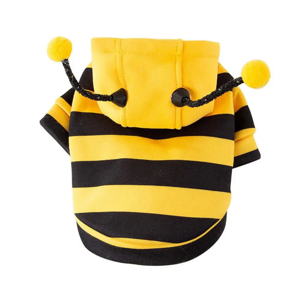 Bee Pet Coat Outfit