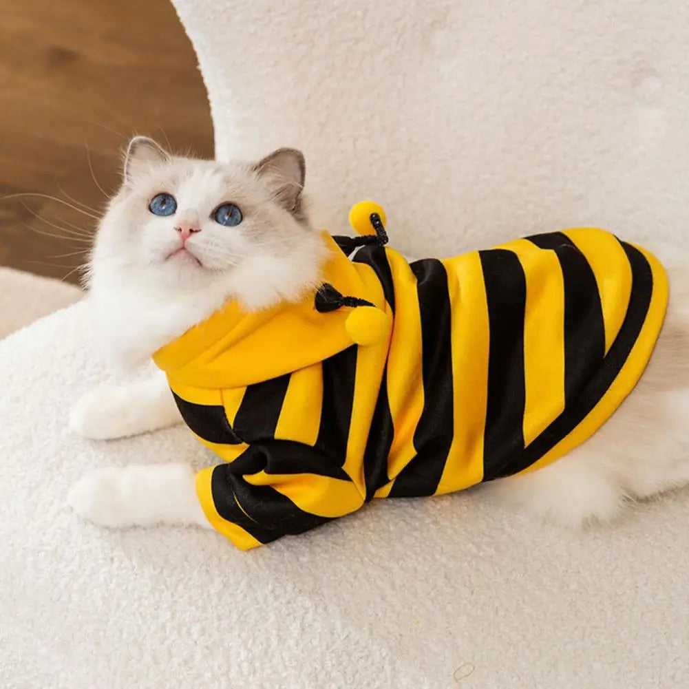 Bee Pet Coat Outfit