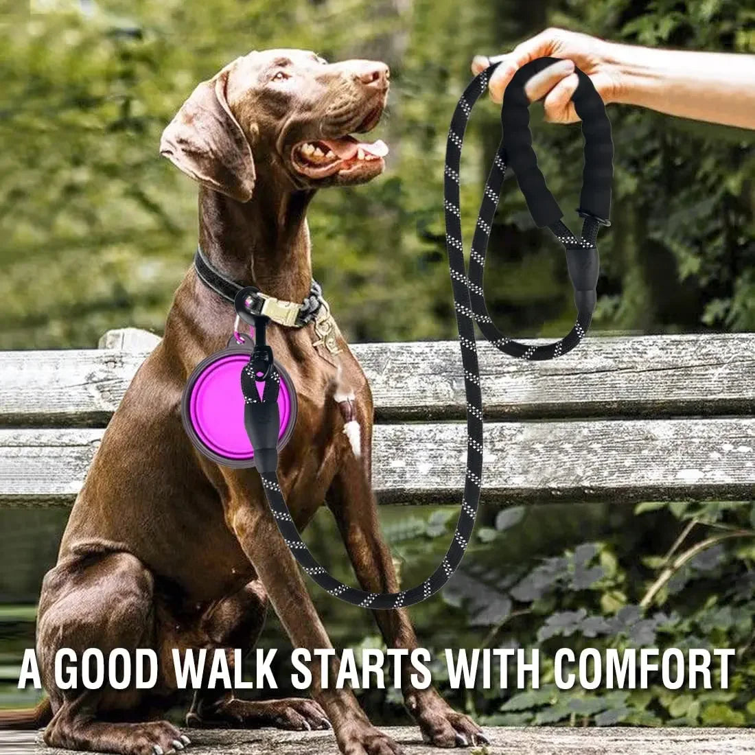 Strong Dog Leash Pet Leashes